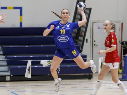 {{brizy_dc_image_alt entityId=