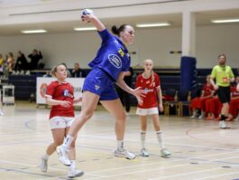 {{brizy_dc_image_alt entityId=