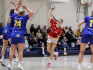 {{brizy_dc_image_alt entityId=