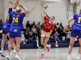 {{brizy_dc_image_alt entityId=