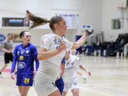 {{brizy_dc_image_alt entityId=