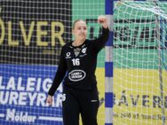 {{brizy_dc_image_alt entityId=