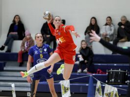 {{brizy_dc_image_alt entityId=