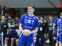 (Kristinn Steinn Traustason)