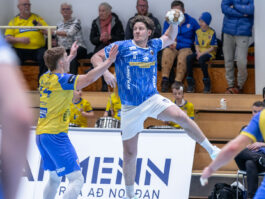 (Egill Bjarni Friðjónsson)