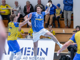 Egill Bjarni Friðjónsson)