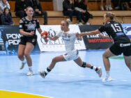 {{brizy_dc_image_alt entityId=