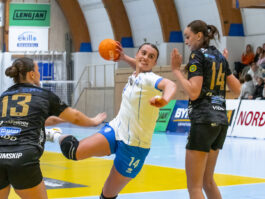 {{brizy_dc_image_alt entityId=