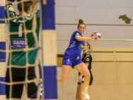 {{brizy_dc_image_alt entityId=