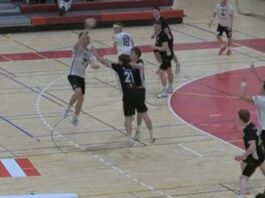 {{brizy_dc_image_alt entityId=