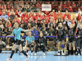 Romerike Ravens