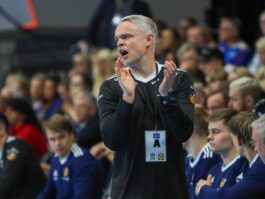 (Kristinn Steinn Traustason)