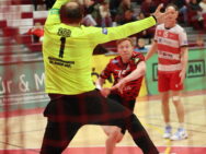 {{brizy_dc_image_alt entityId=