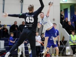 {{brizy_dc_image_alt entityId=