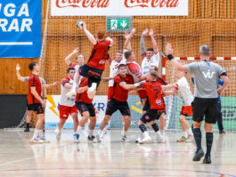 Egill Bjarni Friðjónsson