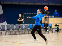 {{brizy_dc_image_alt entityId=