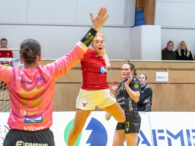 {{brizy_dc_image_alt entityId=