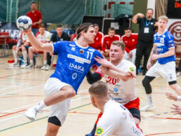 {{brizy_dc_image_alt entityId=