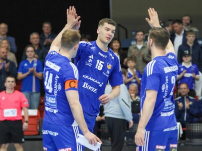 {{brizy_dc_image_alt entityId=