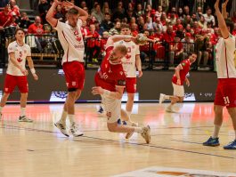 {{brizy_dc_image_alt entityId=