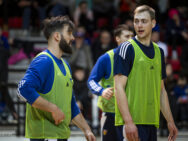 {{brizy_dc_image_alt entityId=