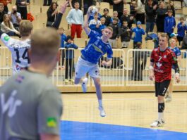 (Kristinn Steinn Traustason)