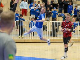 (Kristinn Steinn Traustason)