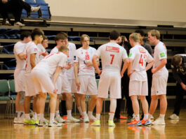 {{brizy_dc_image_alt entityId=