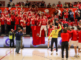 {{brizy_dc_image_alt entityId=