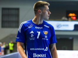 (Kristinn Steinn Traustason)