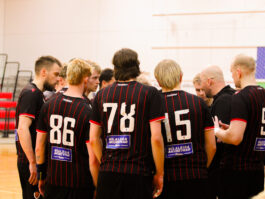 {{brizy_dc_image_alt entityId=