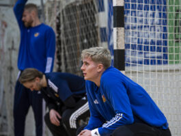 {{brizy_dc_image_alt entityId=