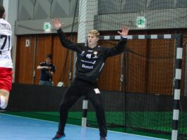 (Kristinn Steinn Traustason)