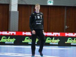 (Kristinn Steinn Traustason)