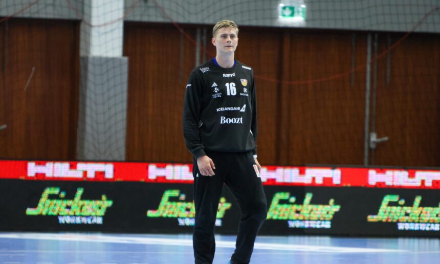 (Kristinn Steinn Traustason)