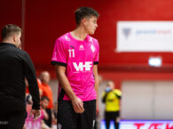 {{brizy_dc_image_alt entityId=