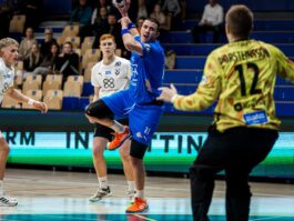 {{brizy_dc_image_alt entityId=