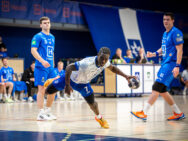 {{brizy_dc_image_alt entityId=