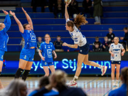 {{brizy_dc_image_alt entityId=