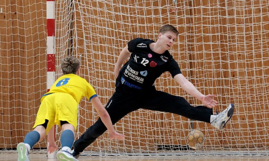 (Skapti Hallgrímsson - Akureyri.net)