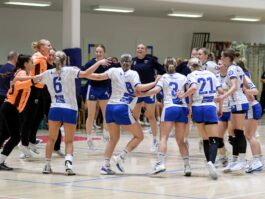 {{brizy_dc_image_alt entityId=