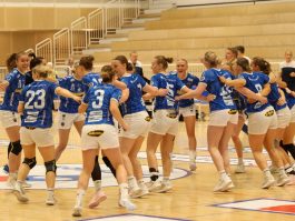 Kristinn Steinn Traustason)