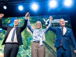 {{brizy_dc_image_alt entityId=